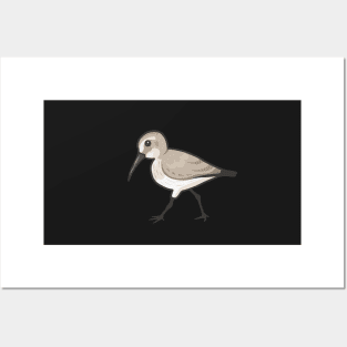 Dunlin Posters and Art